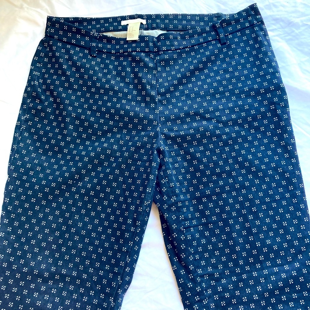 Size 10 H&M Ankle Pants